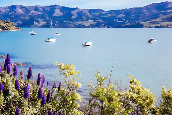 Akaroa Day Tour from Christchurch Return - Akaroa on Banks Peninsula: French Touch Meets South Island Scenery