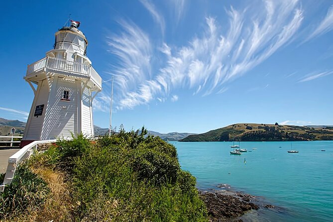 Akaroa Day Tour from Christchurch Return - Optional Wildlife Cruise: How to Add Hector’s Dolphins, Seals, and Penguins
