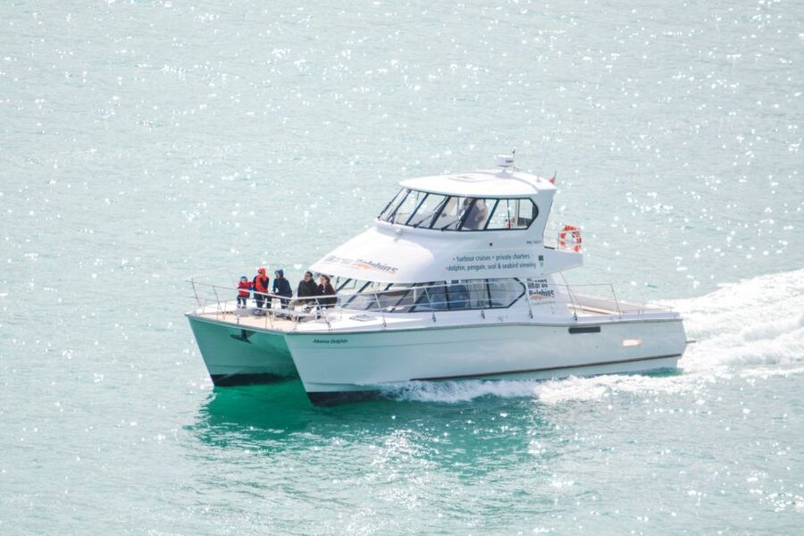 Akaroa: Dolphin Nature Cruise - Before you go: timing Akaroa to avoid a stressful check-in