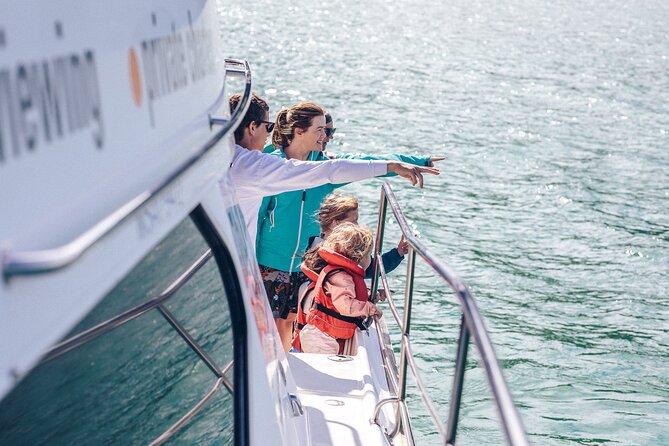 Akaroa Dolphins ~ Harbour Nature Cruise - What You’ll See: Hector’s Dolphins, Penguins, Fur Seals, and Other Harbor Guests