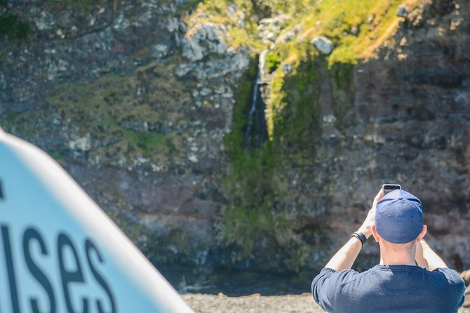 Akaroa Dolphins ~ Harbour Nature Cruise - Stop 2: Akaroa Area Cruising, Coastline Details, and Local Stories