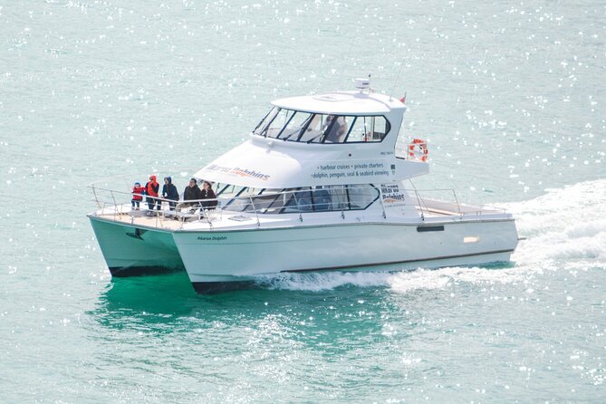 Akaroa Dolphins ~ Harbour Nature Cruise - The Dolphin-Spotting Team: Permit, Dogs, and How Wildlife Viewing Works