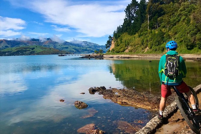 Akaroa Explorer- Guided Electric Bike Tour in Akaroa - Scott and Trek Performance e-bikes, and why the pedal assist is the real star