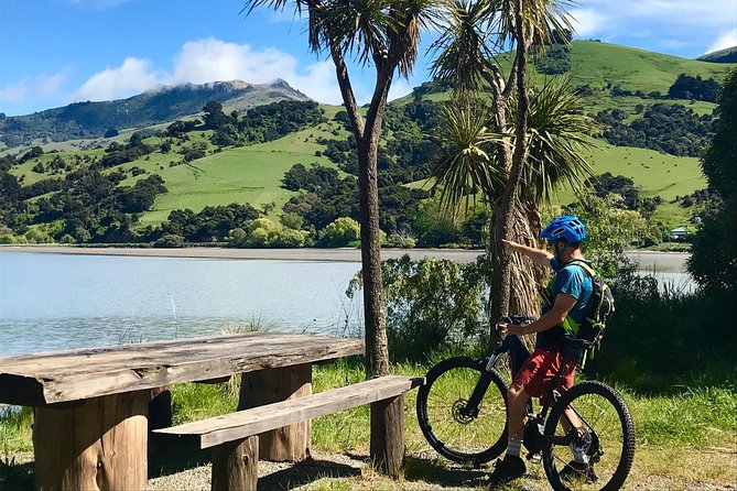 Akaroa Explorer- Guided Electric Bike Tour in Akaroa - Climbing toward summits: what changes when hills stop dominating your day