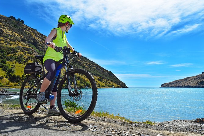 Akaroa Explorer- Guided Electric Bike Tour in Akaroa - The crater rim stop: the moment the day makes sense