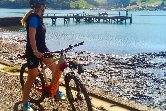 Akaroa Explorer- Guided Electric Bike Tour in Akaroa - Cruise ship timing and shuttles you may be able to arrange