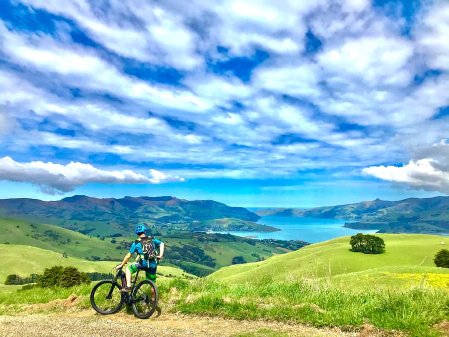 Akaroa Explorer: Guided Electric Mountain Bike Tour - Key points to know before you go