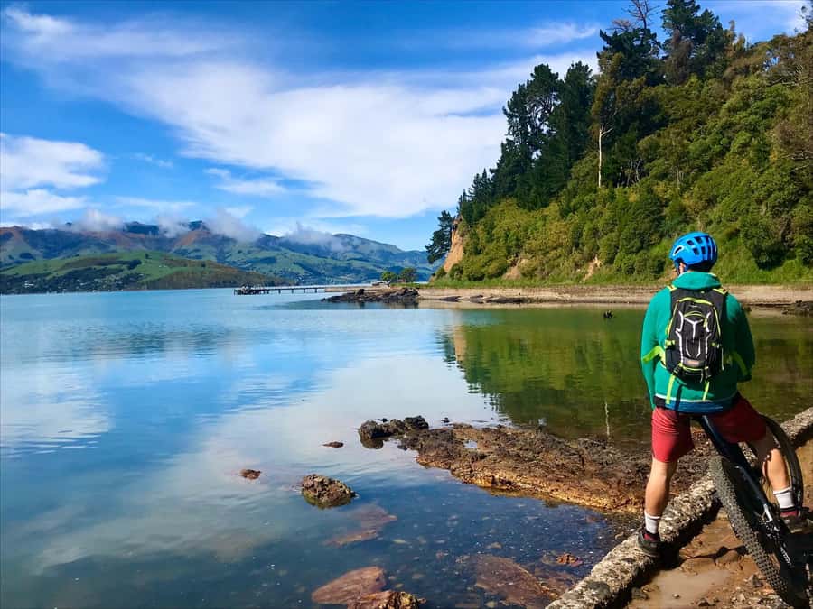 Akaroa Explorer: Guided Electric Mountain Bike Tour - Small Practical Tips That Make Your Ride Smoother