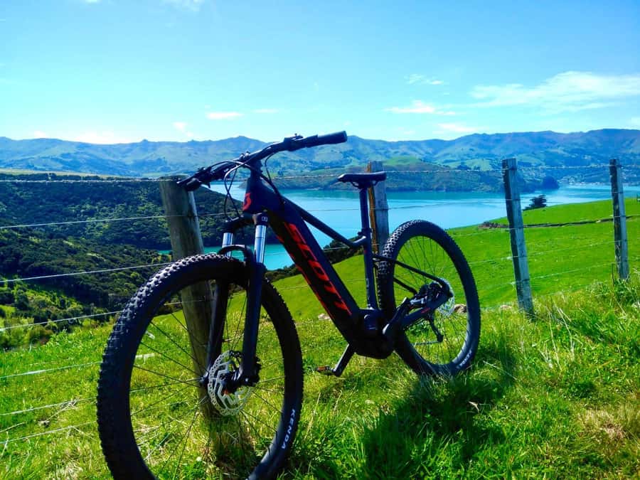 Akaroa Explorer: Guided Electric Mountain Bike Tour - Akaroa by Electric Mountain Bike, a French Village With Pacific Views
