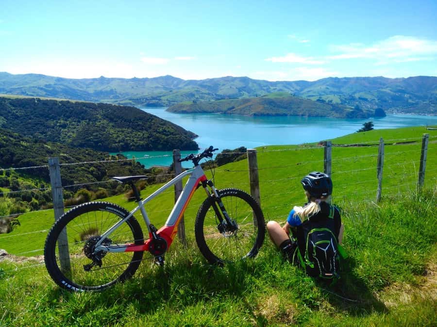 Akaroa Explorer: Guided Electric Mountain Bike Tour - Fitness Fit: Who Should Do This, and Who Might Struggle