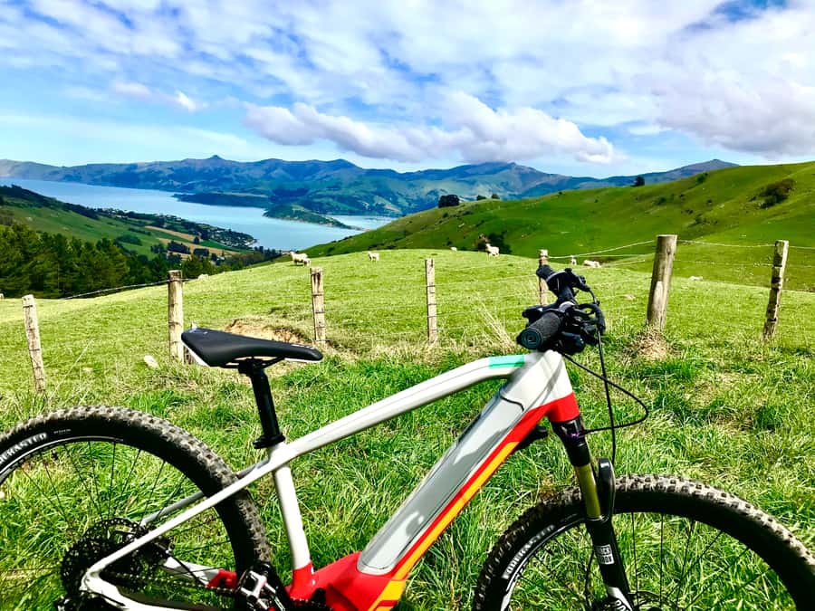 Akaroa Explorer: Guided Electric Mountain Bike Tour - What You Really Get for $86: Value, Gear, and Time