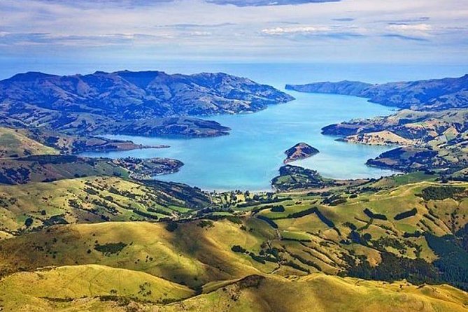 Akaroa Full Day Sightseeing Tour from Christchurch - Key things you will notice on this Akaroa day trip