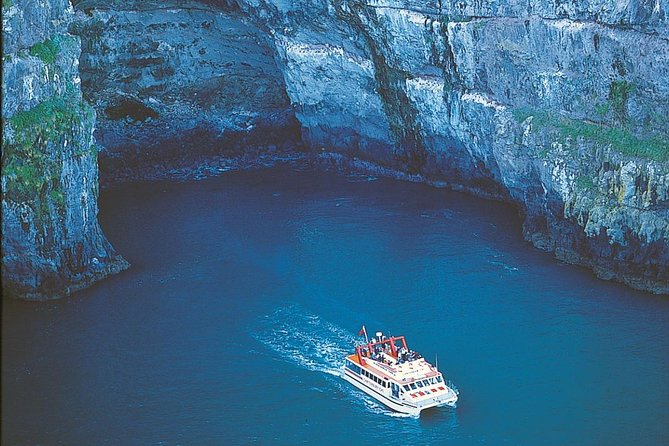 Akaroa Full Day Sightseeing Tour from Christchurch - Banks Peninsula in one long day: what makes this tour special