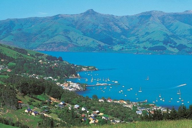 Akaroa Full Day Sightseeing Tour from Christchurch - Pickup and timing: how the 8:30 am start shapes your day