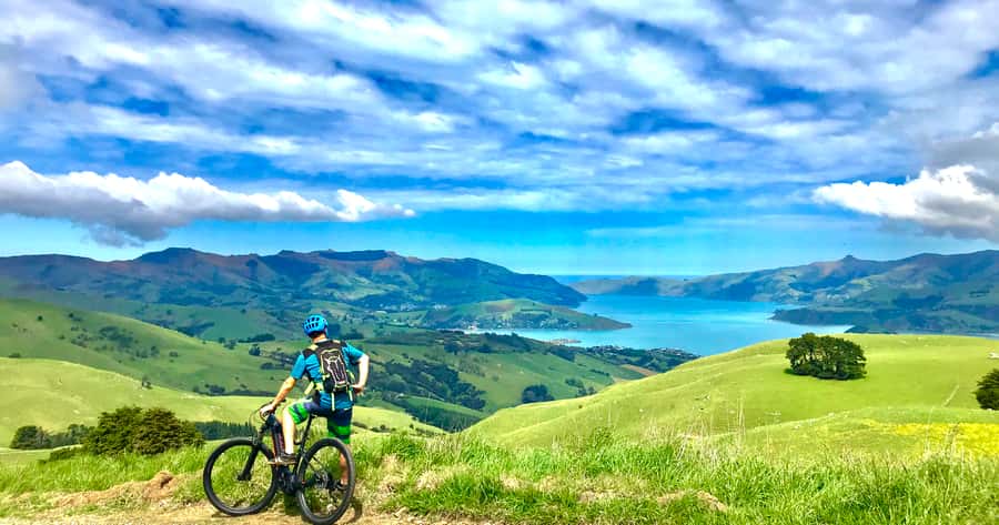 Akaroa: Guided Electric Mountain Bike Tour-Lava Loop - Scenic sealed roads, guide photo stops, and the best kind of attention