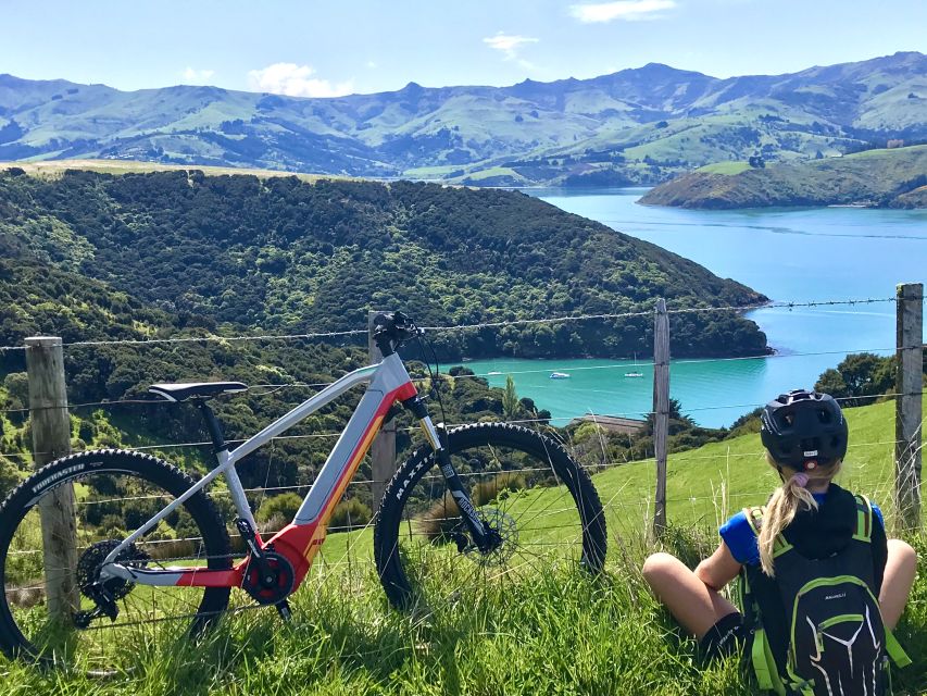 Akaroa: Guided Electric Mountain Bike Tour-Lava Loop - Price and value: what you get for $104 in 3 hours