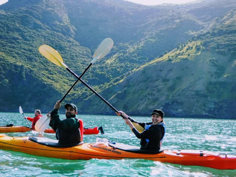 Akaroa: Guided Sunrise Sea Kayaking Tour - Should you book this Akaroa sunrise sea kayaking tour?