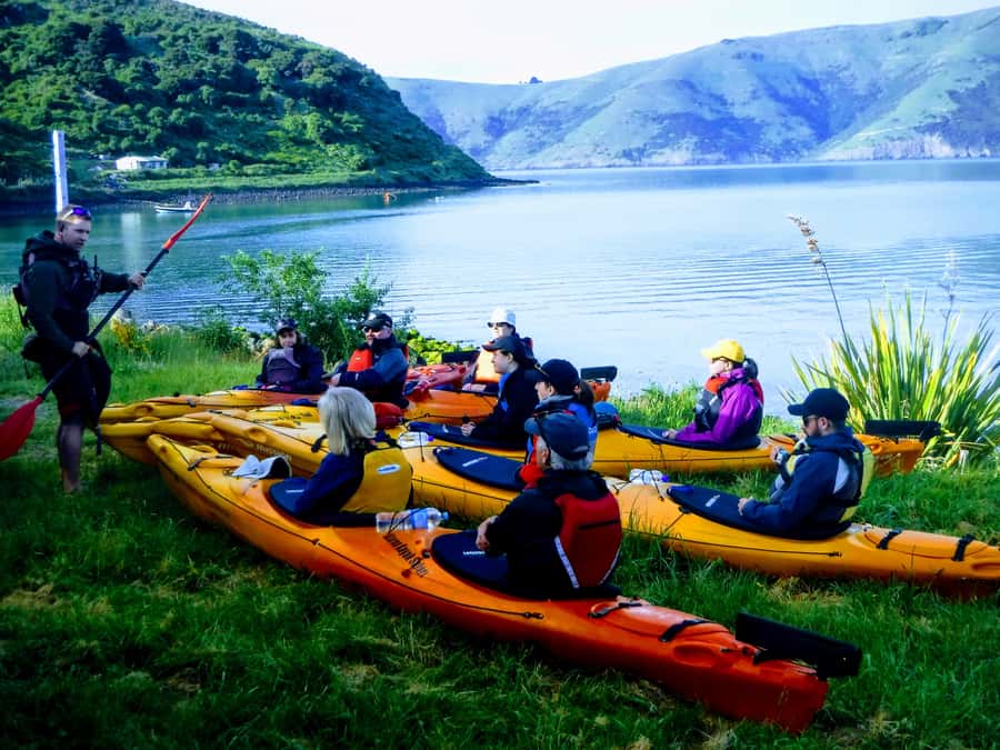 Akaroa: Guided Sunrise Sea Kayaking Tour - Price and value: what $92 really buys you