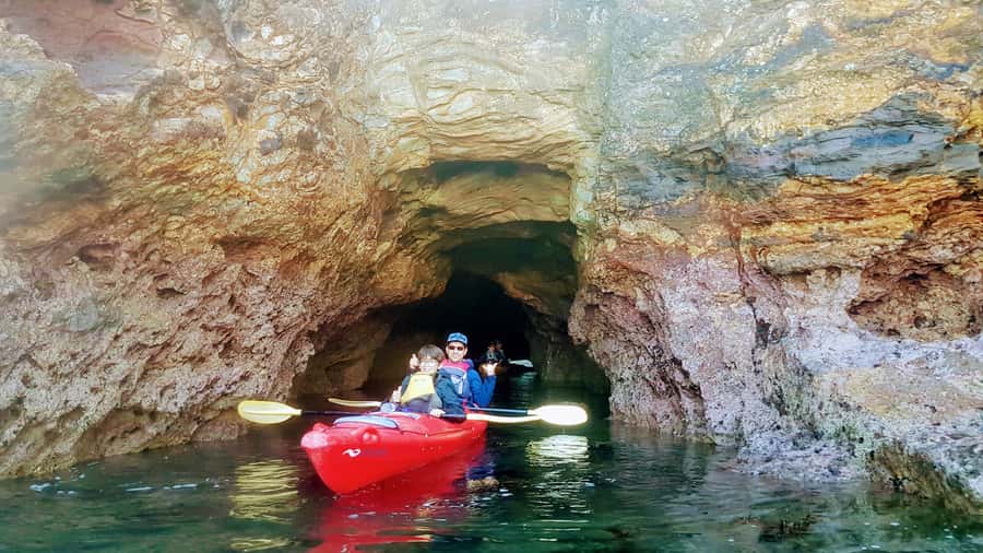 Akaroa: Guided Sunrise Sea Kayaking Tour - Who should book this Akaroa sunrise kayak safari?