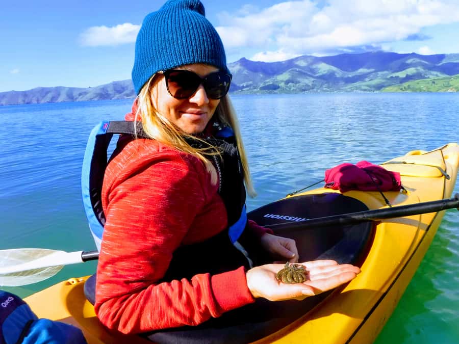 Akaroa: Guided Sunrise Sea Kayaking Tour - Marine reserve time: the quiet magic happens when you stay low-impact