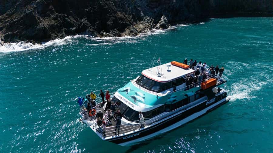 Akaroa Harbour 2-Hour Dolphin Nature Cruise - Comfort on board: decks, weather, and photo angles
