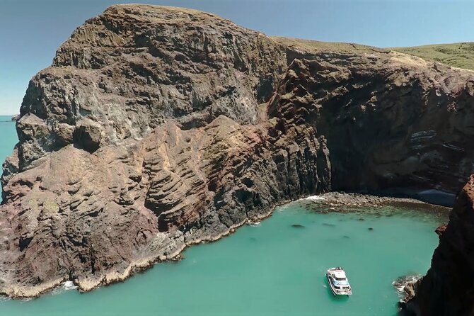 Akaroa Harbour Nature Cruise - Key things I’d look for before you go