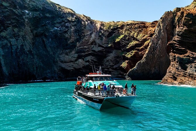 Akaroa Harbour Nature Cruise - Luxury catamaran time on Akaroa Harbour’s “big view” route