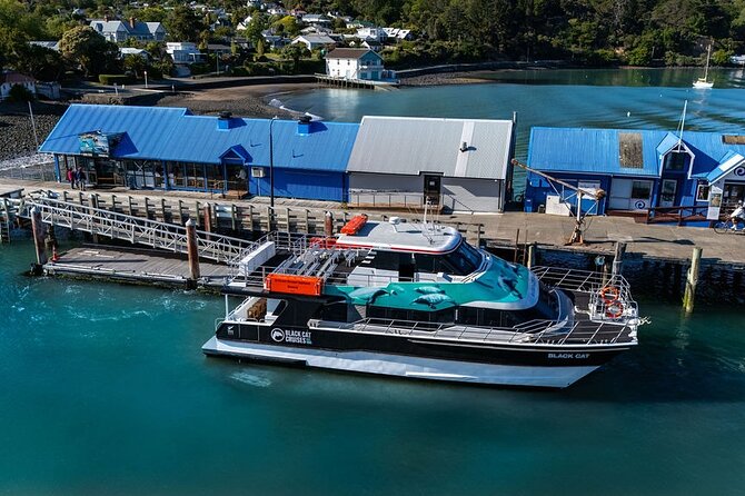 Akaroa Harbour Nature Cruise - Is it worth $77.57? A value check for wildlife, narration, and time