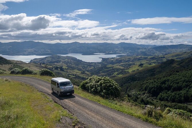 Akaroa Nature and History Private Tour - The 7th Generation - A private 3-hour Akaroa tour that actually feels local