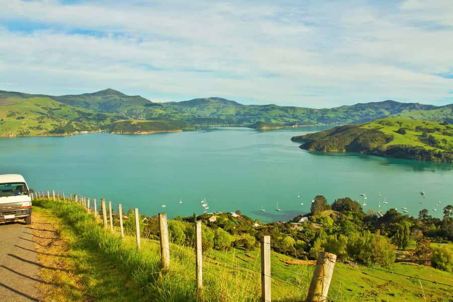 Akaroa: Pohatu Penguins Scenic Nature 2-Hour or 4-Hour Tour - 4WD from Akaroa into Wild Side Conservation