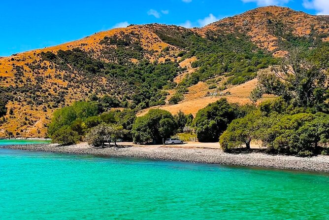 Akaroa Private Day Trip From Christchurch - Little River: the “stretch your legs” village break