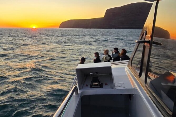 Akaroa Private Day Trip From Christchurch - Price and value: NZ$741.59 for up to 4