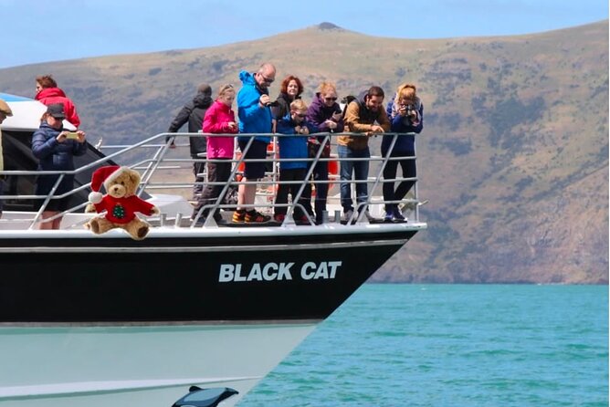 Akaroa Private Day Trip From Christchurch - Why a private format makes Akaroa feel unhurried