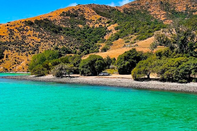 Akaroa Private Group Day Trip from Christchurch - Key highlights you will feel on the day