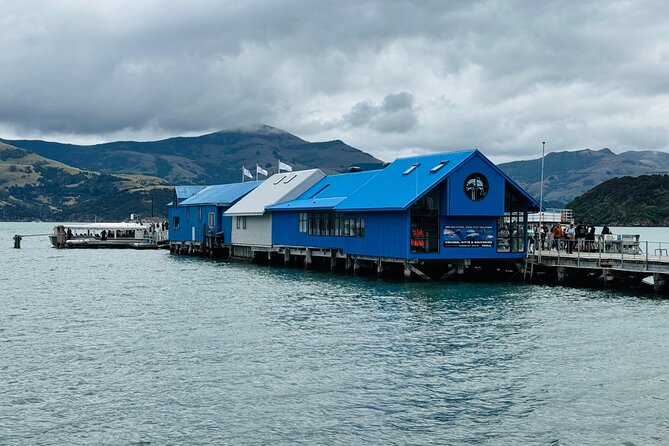 Akaroa Private Group Day Trip from Christchurch - Leaving Christchurch: the smooth start that sets the tone