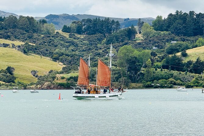 Akaroa Private Group Day Trip from Christchurch - Timing and energy: how the 6 hours typically balance driving and time on land