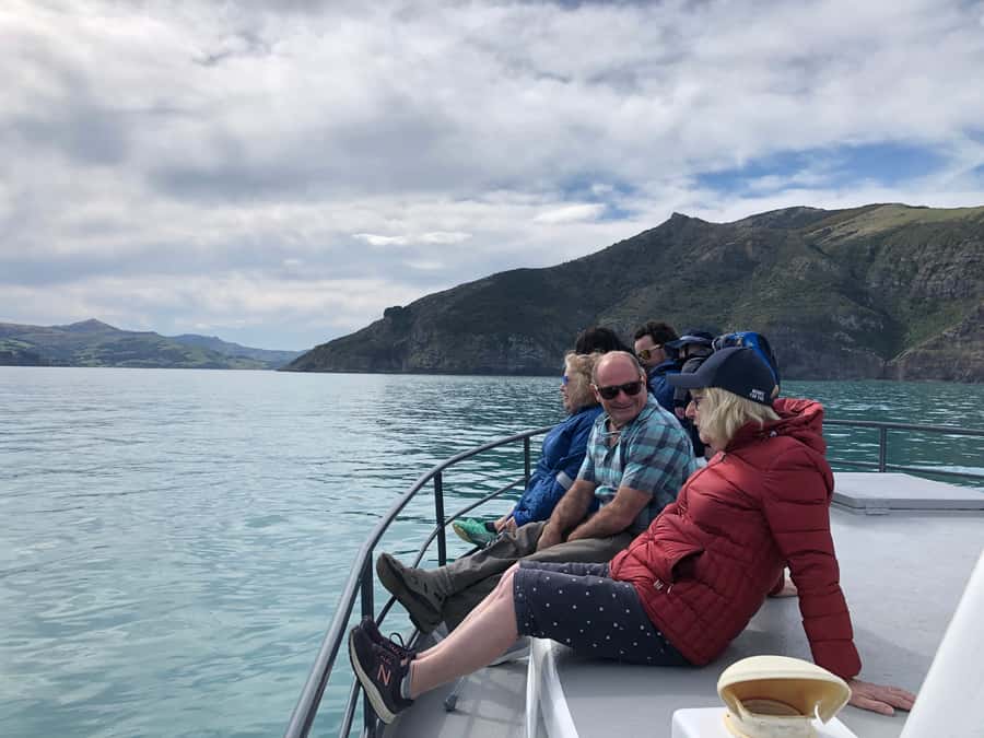 Akaroa: Scenic Coastline Wildlife Cruise - Wildlife you’re actually trying to spot: penguins, seabirds, and dolphins