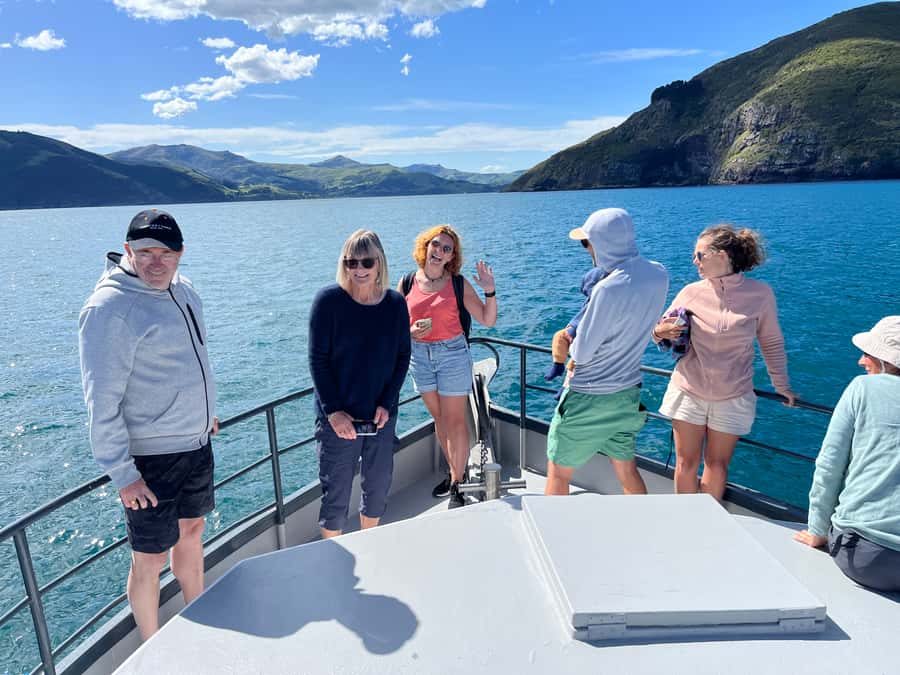 Akaroa: Scenic Coastline Wildlife Cruise - Price and value: what $65 buys on this small-boat wildlife cruise