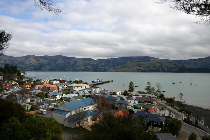 Akaroa Shore Excursion: Akaroa Harbour and Sheep Farm Local Tour - Small-group comfort and what it means for your experience