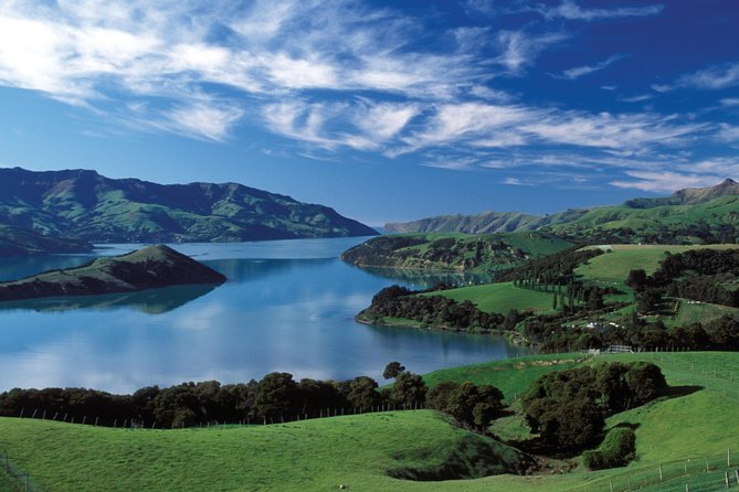 Akaroa Shore Excursion: Banks Peninsula, Christchurch City and Giants House Tour - A Half-Day Reset From Akaroa Port to Christchurch