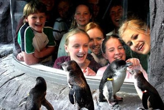Akaroa Shore Excursion: Banks Peninsula, Christchurch City Tour and the International Antarctic Centre - Christchurch highlights without the stress of planning