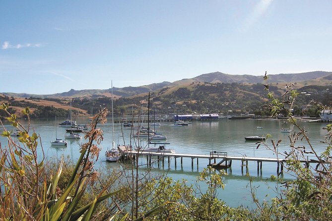 Akaroa Shore Excursion: Banks Peninsula, Christchurch City Tour and Willowbank Wildlife Reserve - Christchurch Botanic Gardens: A 30-Minute Reality Check