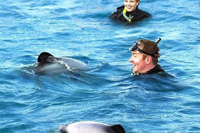 Akaroa Swim with Dolphins Tour from Christchurch - Christchurch to Akaroa, with proper scenic stops