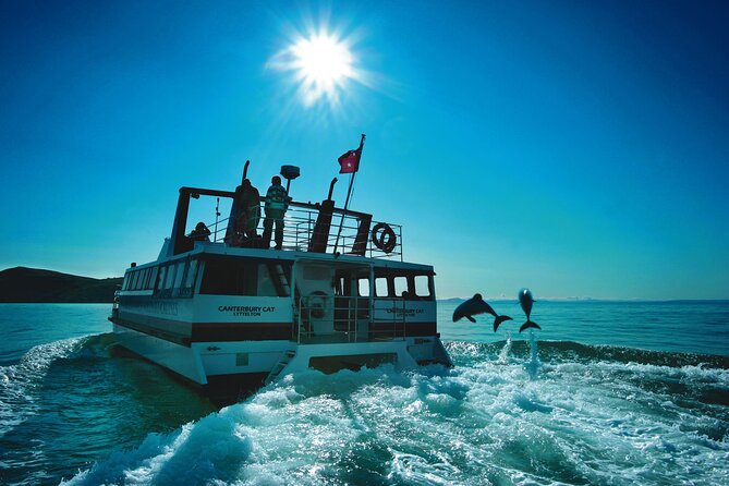 Akaroa Swim with Dolphins Tour from Christchurch - Akaroa free time, crafts, colonial buildings, and lunch on your time
