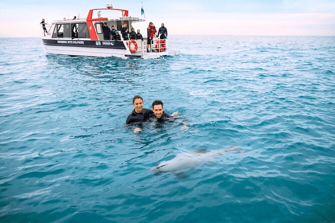 Akaroa Swim with Dolphins Tour from Christchurch - Barry’s Bay cheese tasting, a included stop that actually helps