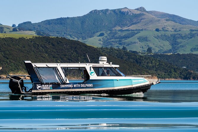 Akaroa Swim with Dolphins Tour from Christchurch - The dolphin cruise setup, then wetsuit time
