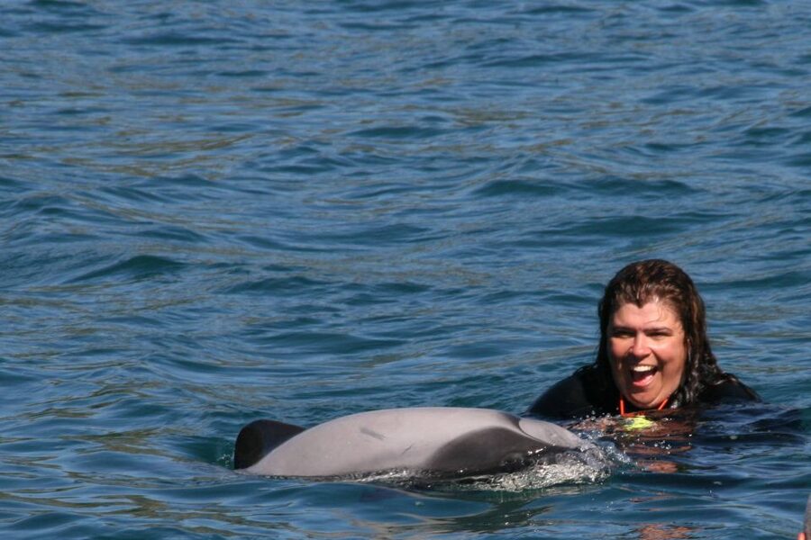 Akaroa: Swimming with Wild Dolphins Experience - Why Akaroa Harbour is ideal for Hector’s dolphin swims
