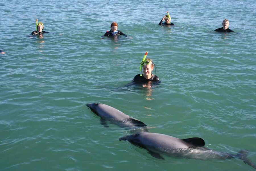 Akaroa: Swimming with Wild Dolphins Experience - Getting kitted up at Black Cat Cruises, then warming up after