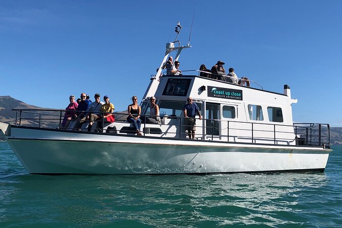 Akaroa Wildlife Cruise - Key highlights at a glance