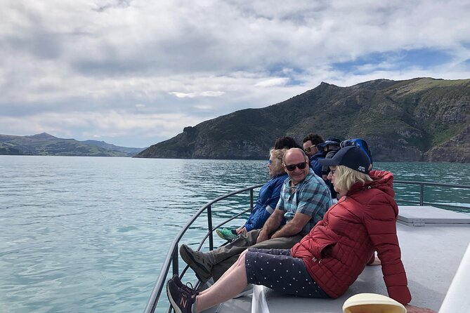 Akaroa Wildlife Cruise - Your afternoon timing: meeting at Beach Road and heading out